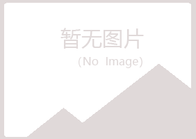 青岛四方又菱服务有限公司